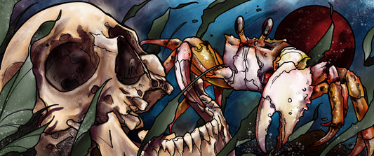 Crabe & crâne